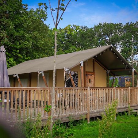 Vakantiepark Sallandshoeve Nieuw-Heeten Exteriör bild